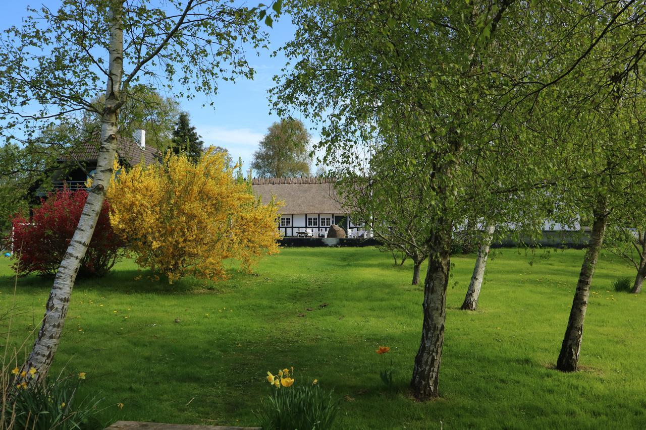 Hårby Birkelygaard Bed & Breakfast المظهر الخارجي الصورة